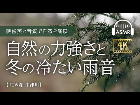 【ASMR/4K】映像美と音声で自然を満喫　雨音　環境音　水の音　風の音【JTの森/中津川】