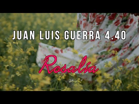 Juan Luis Guerra 4.40 – Rosalia (Lyric Video)