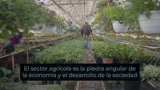 Cómo Proteger Las Variedades Vegetales