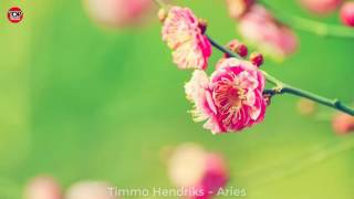 Timmo Hendriks - Aries