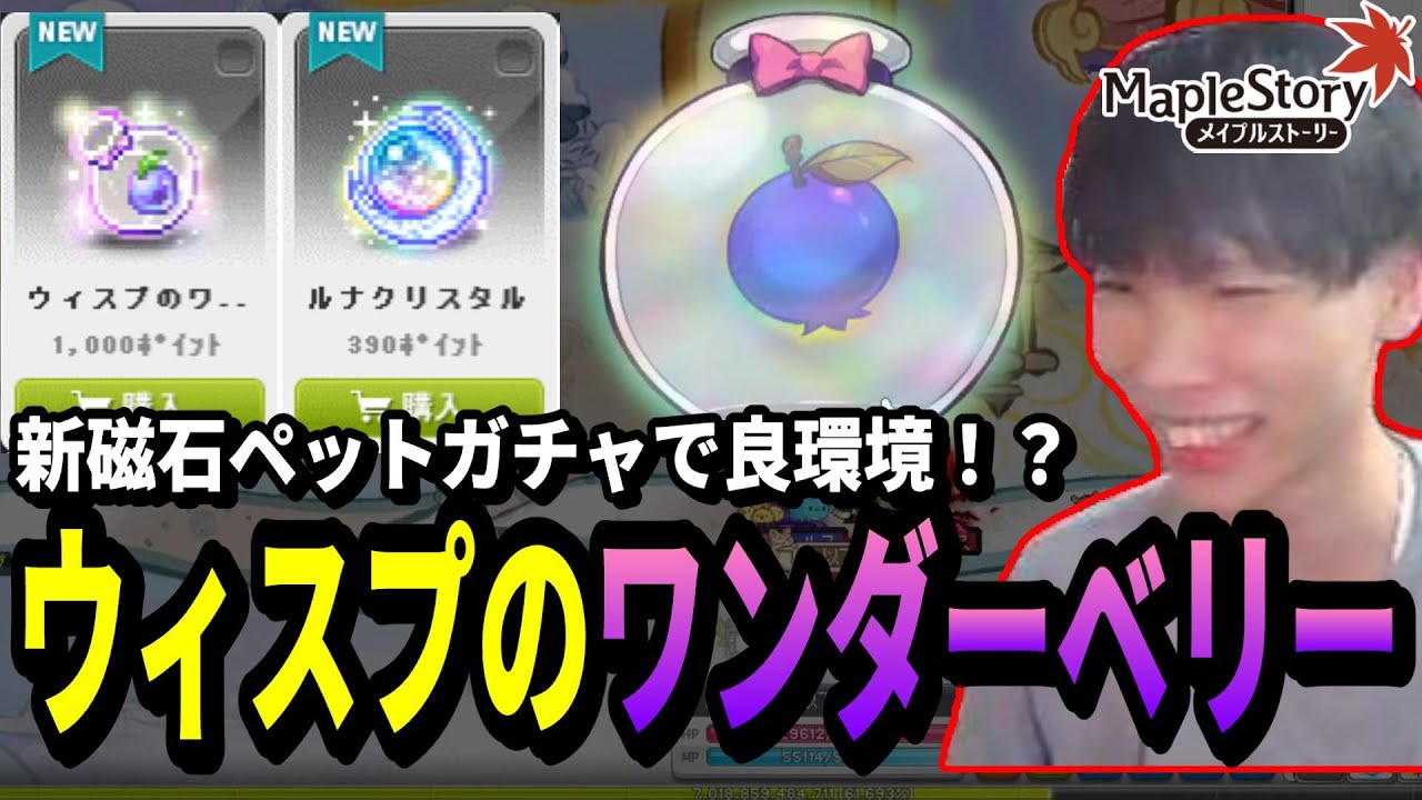 新磁石ペットガチャで良環境！？ウィスプのワンダーベリーを回す以下省略っ【メイプルストーリー】