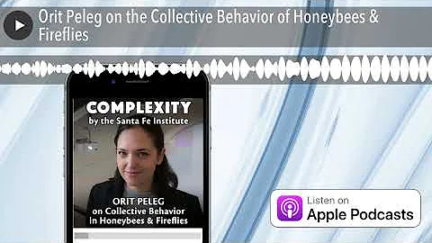 Orit Peleg on the Collective Behavior of Honeybees...