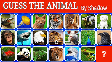 Guess the Animal by Its Shadow! 🐾 | Fun Brain Teaser Game for All Ages!