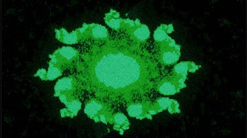 cxxmatrix: Mandelbrot set in Terminal
