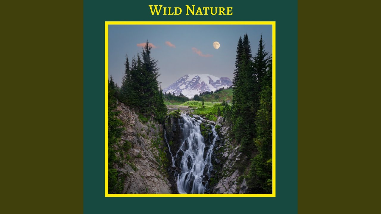 Watch Wild Nature on YouTube Watch Wild Nature on YouTube