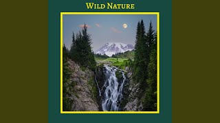 Wild Nature