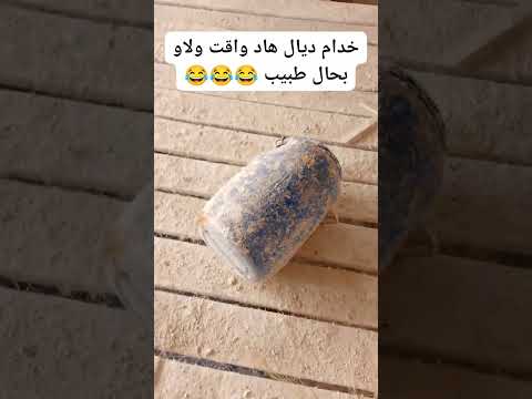 هاد جيل زا مبقاش باغي اخدام ترند