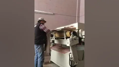 Leather tannery machine