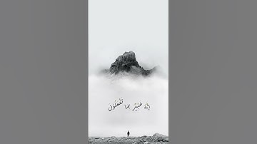 وترى الجبال تحسبها جامدة | سورة النمل | القارئ شريف مصطفى ♡