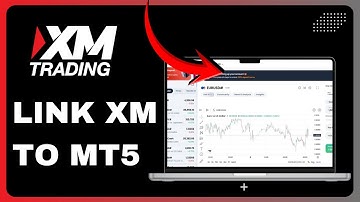 Setting Up XM on MT5 | Connection & Login Process
