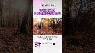 10월 게자리 운세와 행운의 컬러는? #shorts  #별자리운세 #타로운세