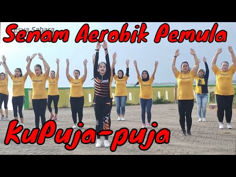 Senam aerobik pemula mengecilkan lengan hanya 15 menit membakar lemak tubuh - fesya sahara aerobic
