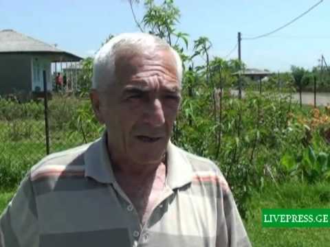 მატლი ჭალადიდში.mp4