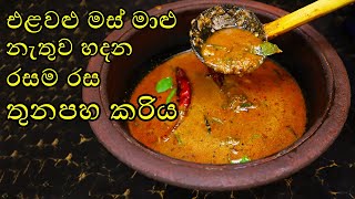 එළවළු මස් මාළු නැතුව හදන රසම රස තුනපහ කරිය|thunapaha curry|spicy vegetable CurryM.R KITCHEN