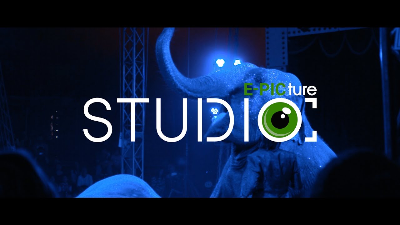 Eötvös Cirkusz - A Harlequin Titka [E-PICture Studio]