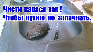 Рыба карась. Как почистить рыбу. Чистка рыбы. Как чистить рыбу. Как аккуратно почистить рыбу. Чешуя