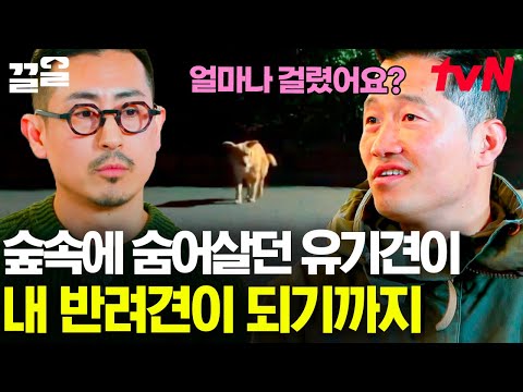 | <strong>고독한훈련사</strong>