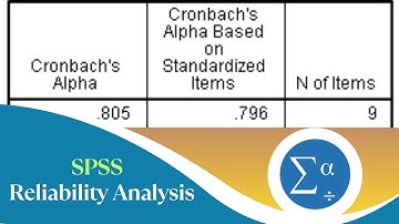 How to Perform Reliability Analysis in SPSS (Step-by-Step Tutorial) | Cronbach’s Alpha