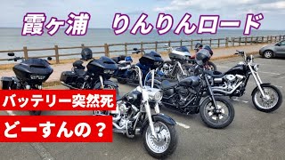 霞ヶ浦りんりんツーリング　突然バッテリーが不能状態…どーするの？【Harley-Davidson】【りんりんロード】【梅澤海鮮丼】【ハーレー部の絆】