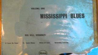 Video thumbnail of "Big Bill Broonzy   It Feels So Good"