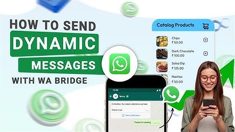 How to Send Dynamic Messages on WhatsApp with WA Bridge!