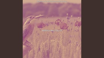 Distinguished Koto and Strings - Vibe for Mantra Meditation