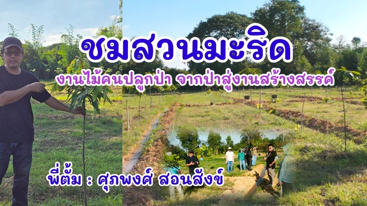 งานไม้คนปลูกป่า จากป่าสู่งานสร้างสรรค์ : ชมสวนมะริด || พี่ตั้ม : ศุภพงศ์ สอนสังข์