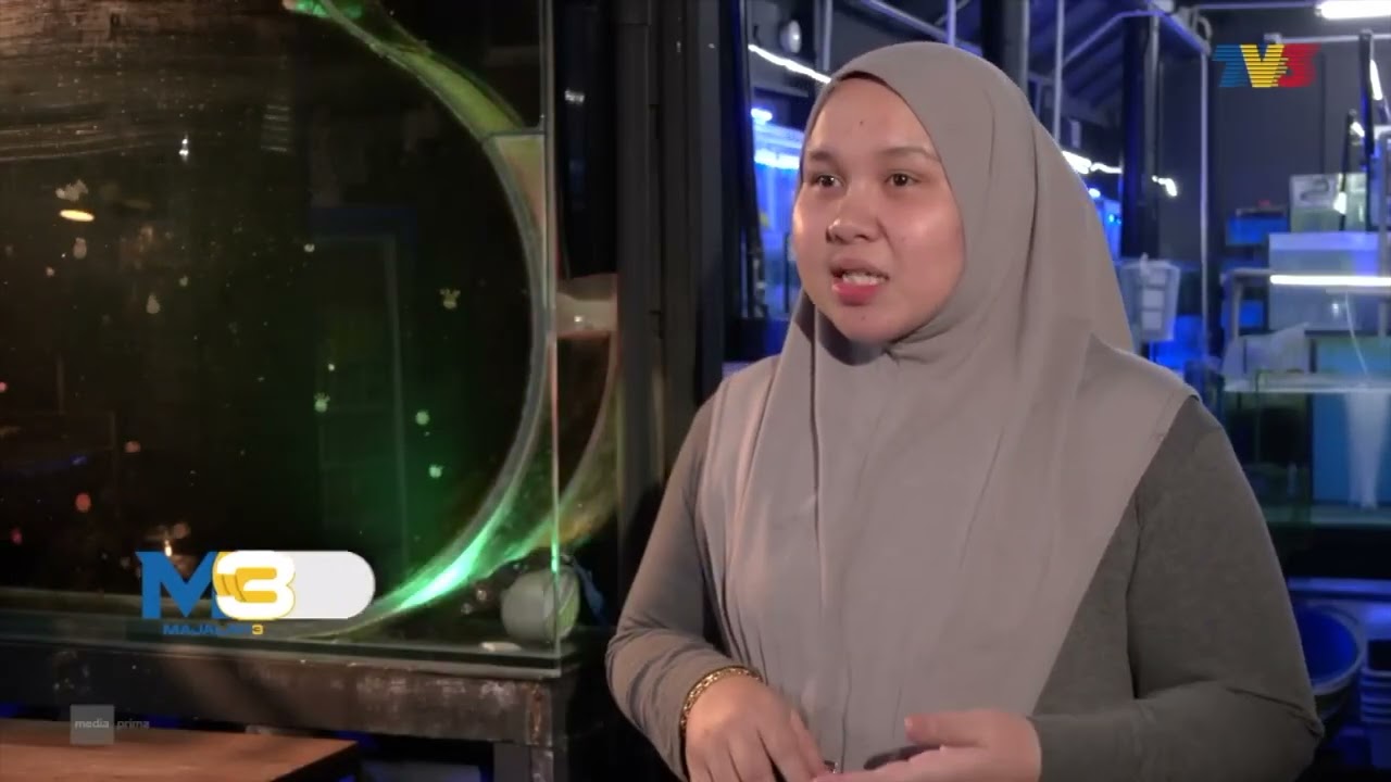 [CLIP] Majalah 3 (23 Feb 2026): Keunikan & Sifat Ubur-Ubur | Tonton