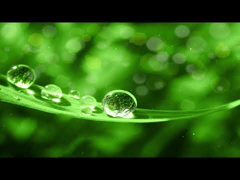   Relaxing Piano Music Sleep Music Water Sounds Relaxing Music Meditation Music