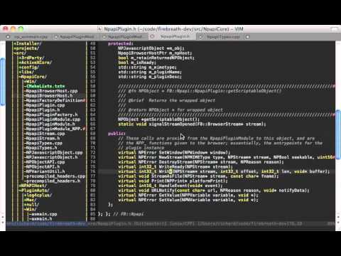 NPAPI tutorial 4 part 3