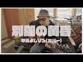 別離の黄昏 / 甲斐よしひろ(カバー)