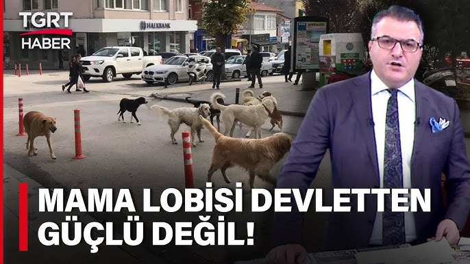 Armiyadagi yigit yomon Qin ichida til bilan porno