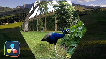 Hexagon iris l Davinci Resolve 20