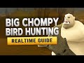 RS3 Big Chompy Bird Hunting Realtime Quest Guide RS3 Big Chompy Bird Hunting Realtime Quest Guide