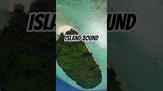 Flying over the most beautiful island in Indonesia! 🇮🇩 #Shorts #FPV ft. OasisFly35