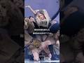 韓国永住権を取得した海外出身のKPOPアイドル