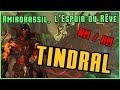 Tindral  hroquenormal  guide et strat amirdrassil  102 wow