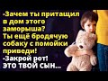 Зачем ты притащил его в дом? Ты ещё бродячую собаку с помойки приведи! Истории любви до слез