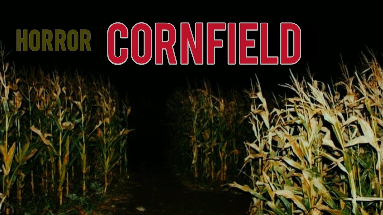 Terrible True Cornfield Horror Story Scary Secret Of The Ghost Farm