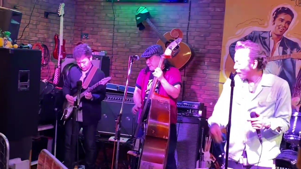 2026.2.15 pinballs / DUCK TAIL