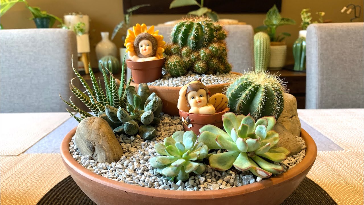 Cactus & Succulent Terrarium, Space Gardening