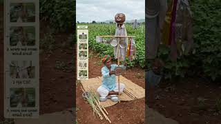 #shorts #new #krashi #jugaad #khet #kisan #india #viral #trending