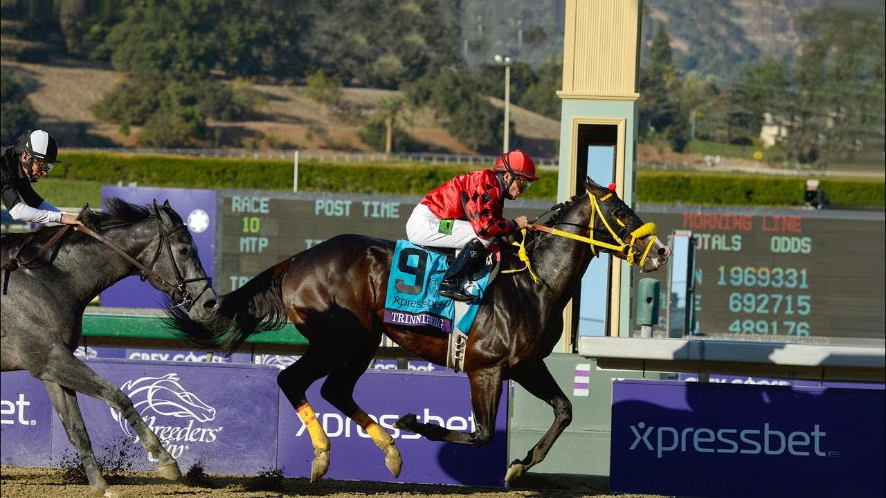 Eddie Olczyk's Kentucky Derby Picks YouTube