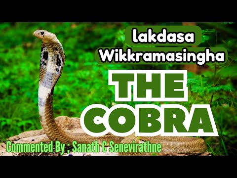 lakdasa wickramasinghe biography of alberta