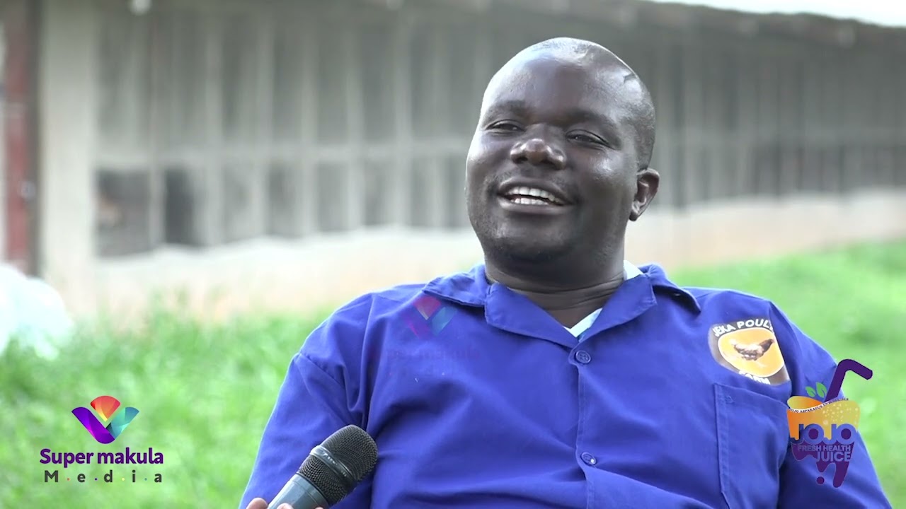 Part2;Omulunzi w’enkoko eyasinga omwaka guno✍️kululyo,emere,n’ezimba yebinyumba by’enkoko eza Magoba