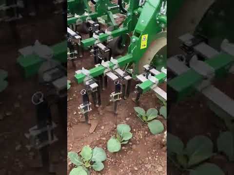 Garford in-row weeding sprouts - video from SoilEssentials