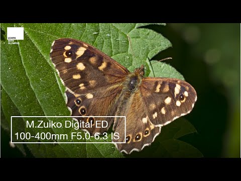M.Zuiko Digital ED 100‑400mm F5.0-6.3 IS  | Hands on review by David Tipling