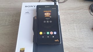 Sony NWWM1AM2 (Uncapped) DAP: Degoogle, Optimisation, Settings/UI walkthrough, Comparisons