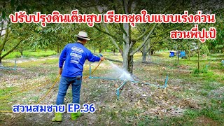 #KavinBinDai EP.624 Full-scale soil improvement, urgent leaf development boost, P'PooPae's Garden... #KavinBinDai EP.624 Full-scale soil improvement, urgent leaf development boost, P'PooPae's Garden...
