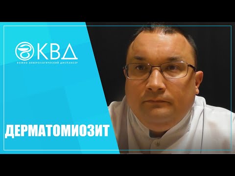 Видео: 24 страхотни кучета, които обичат любовта с кола